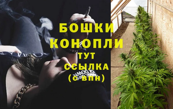трава Балахна